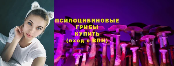 трава Майский