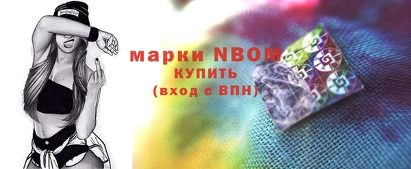 индика Лихославль