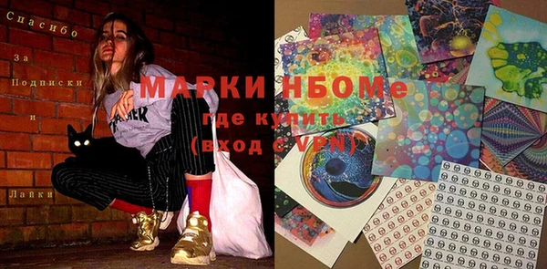 индика Лихославль