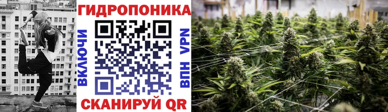 купить закладку  Катав-Ивановск  Конопля планчик 